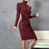 high neckline Long Sleeve Knitted Dress